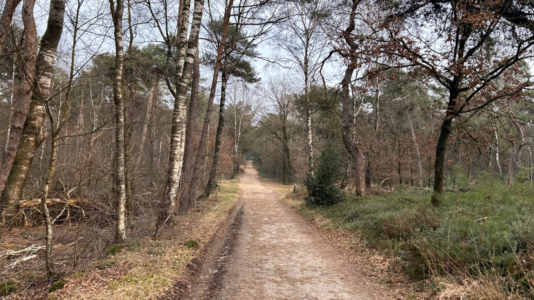 Holten - Lettele · Marskramerpad etappe 6