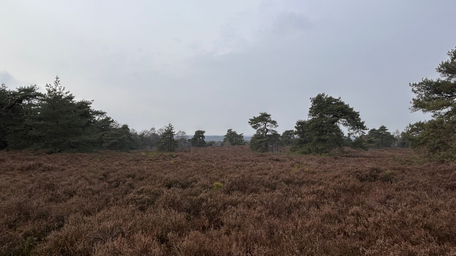 Holten - Lettele · Marskramerpad etappe 6