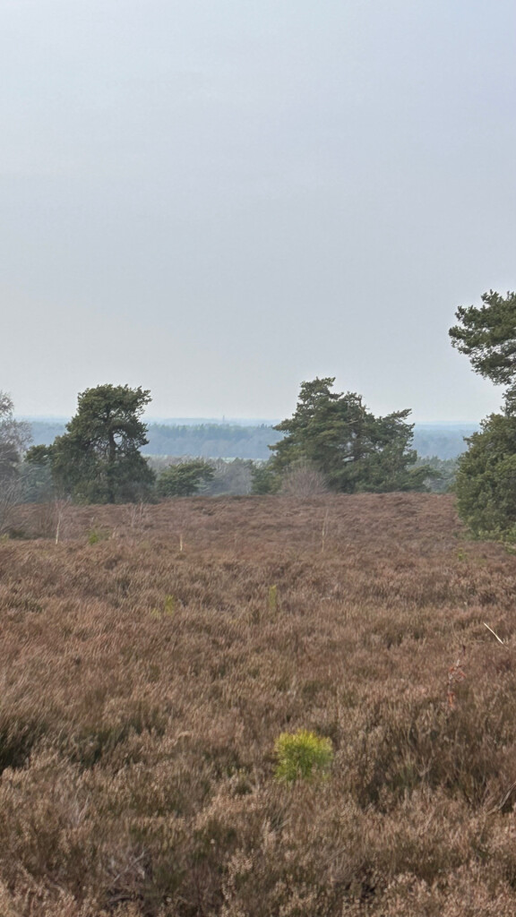 Holten - Lettele · Marskramerpad etappe 6