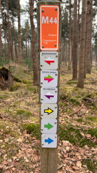 Holten - Lettele · Marskramerpad etappe 6