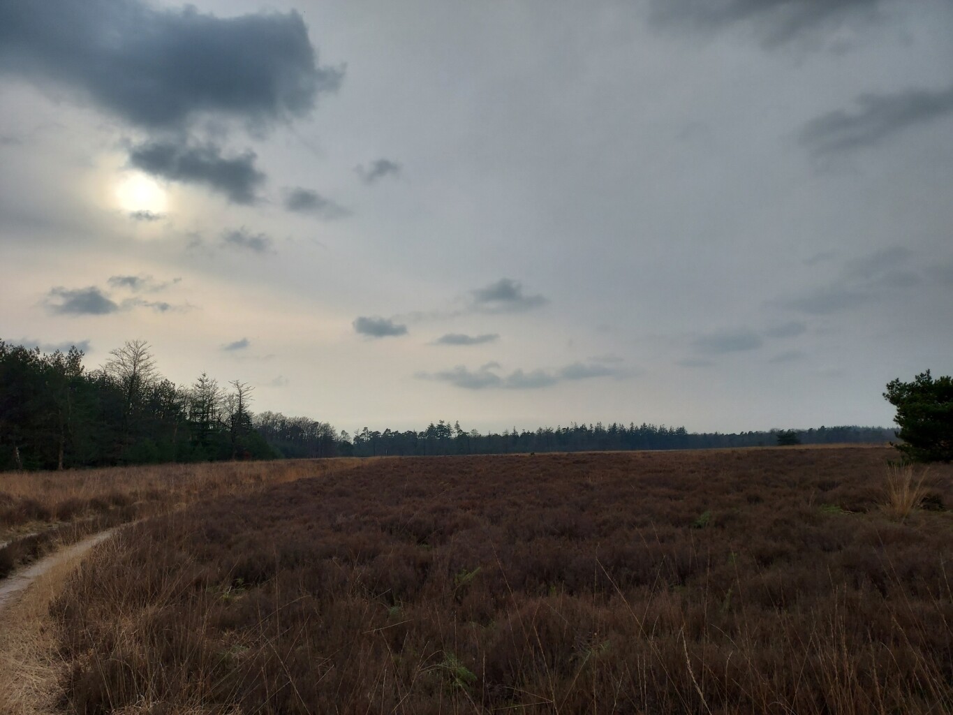 Wandelroute Noorderheide