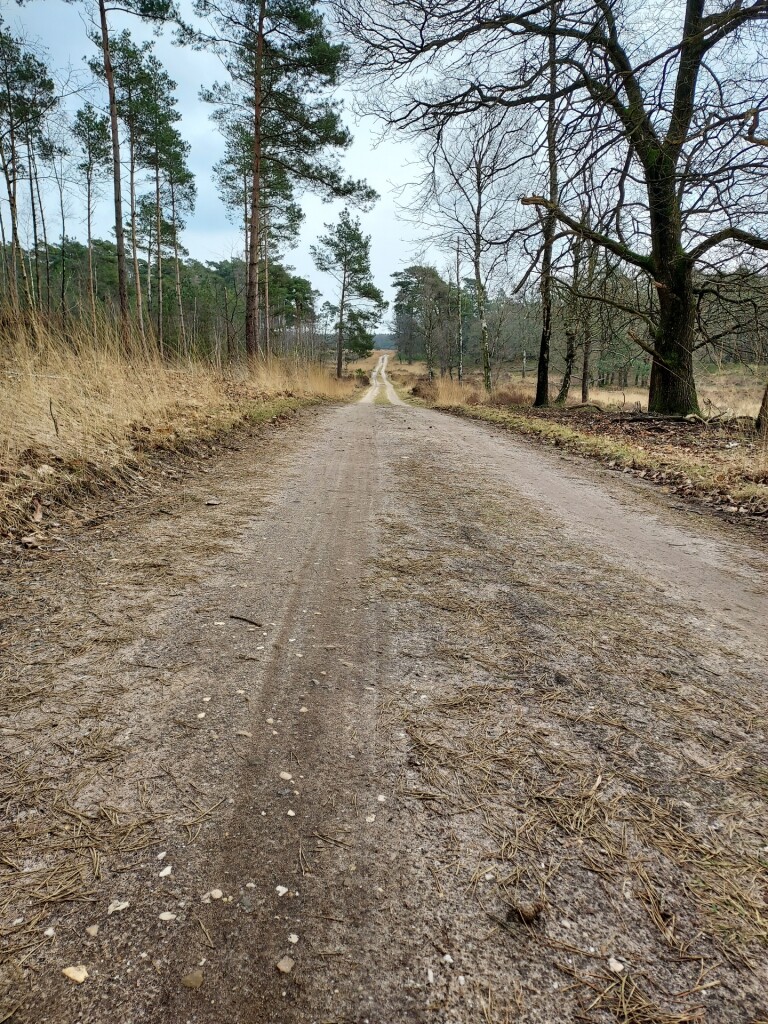 Wandelroute Noorderheide