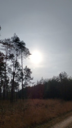 Wandelroute Noorderheide
