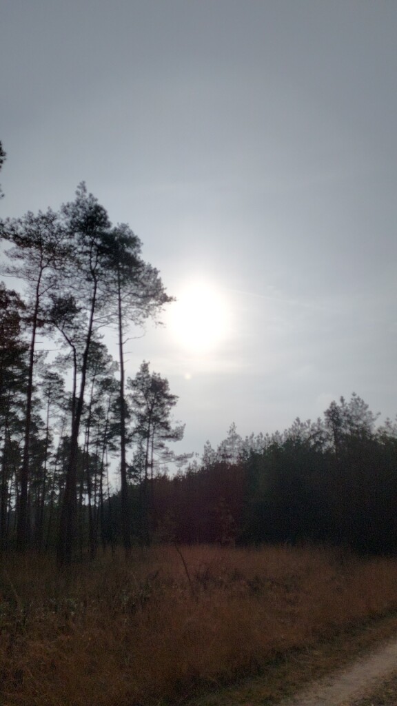 Wandelroute Noorderheide