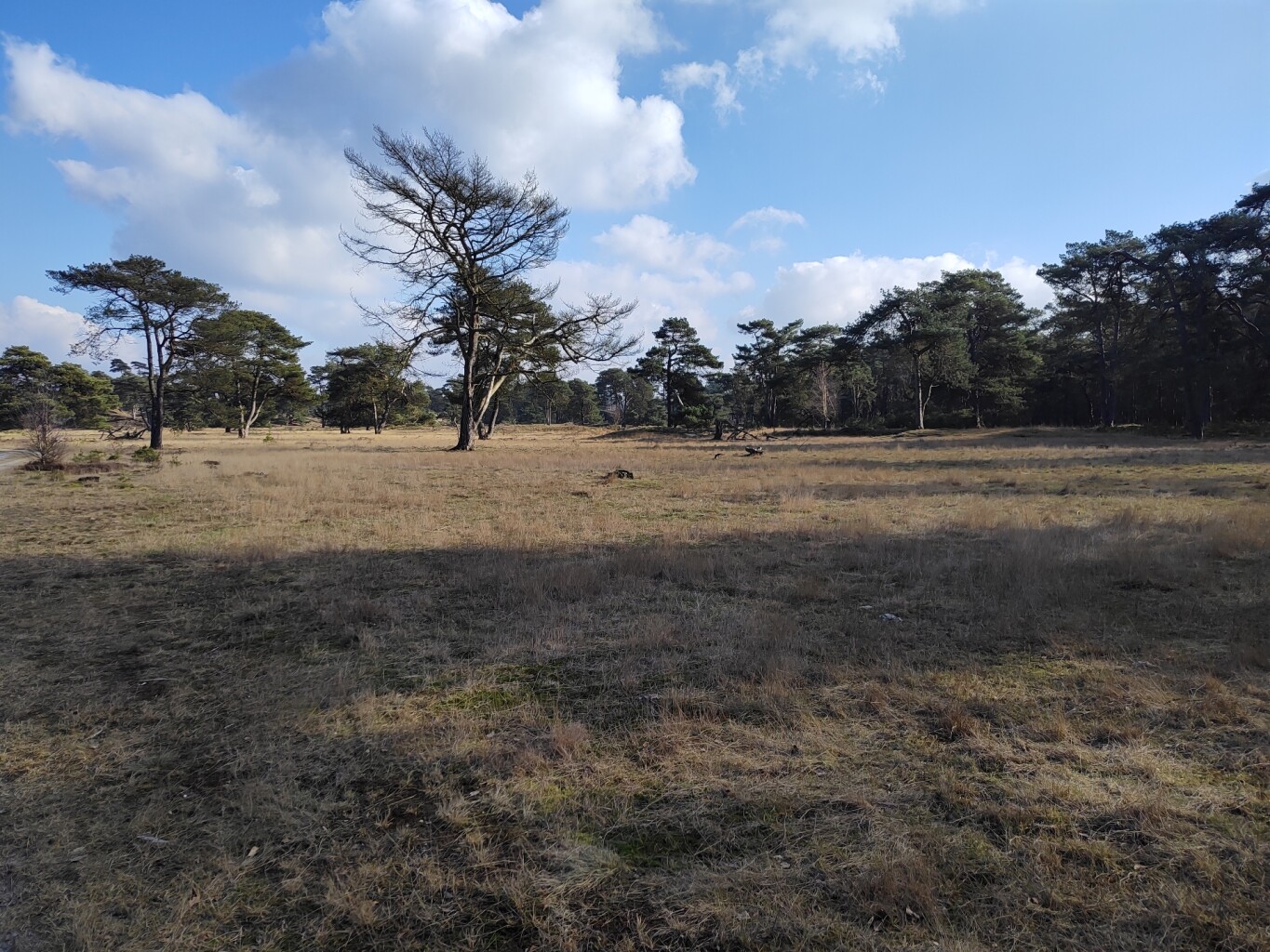Wandeling Hulshorsterzand