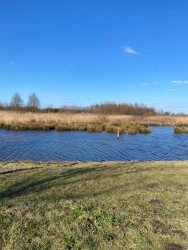 Lansingerland walk