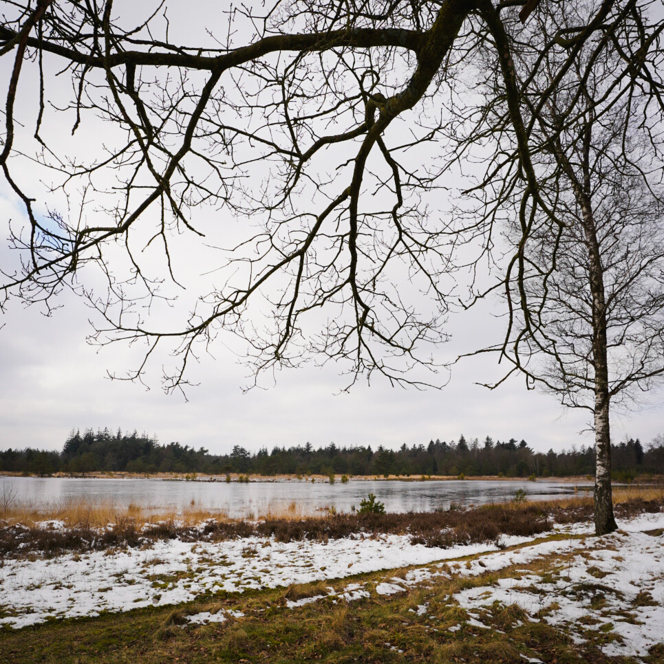 Boswachterspad Olde Smildeger