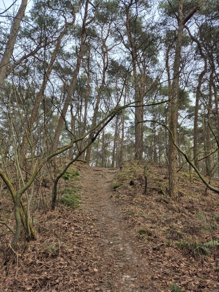 Mariënheem - Heino · Sallandpad etappe 4