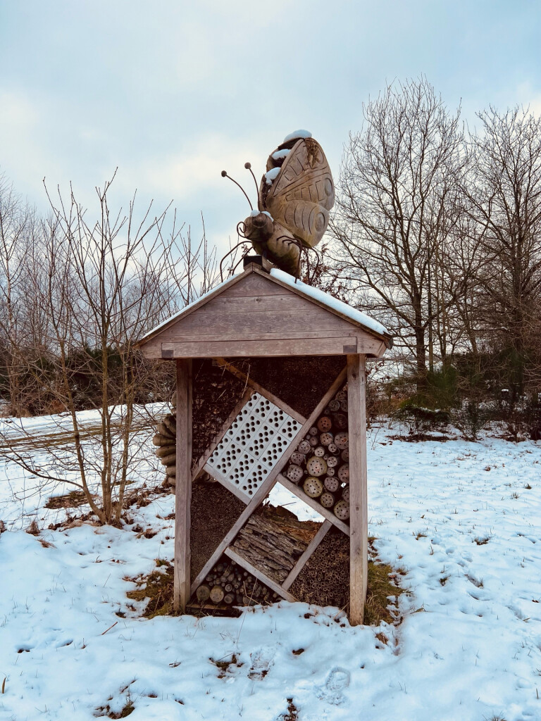 Brummelpad-Kostvlies wandeling