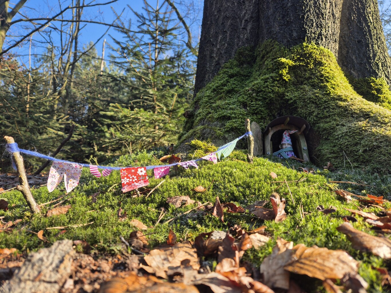 Nieuw Heeten - Mariënheem · Sallandpad etappe 3