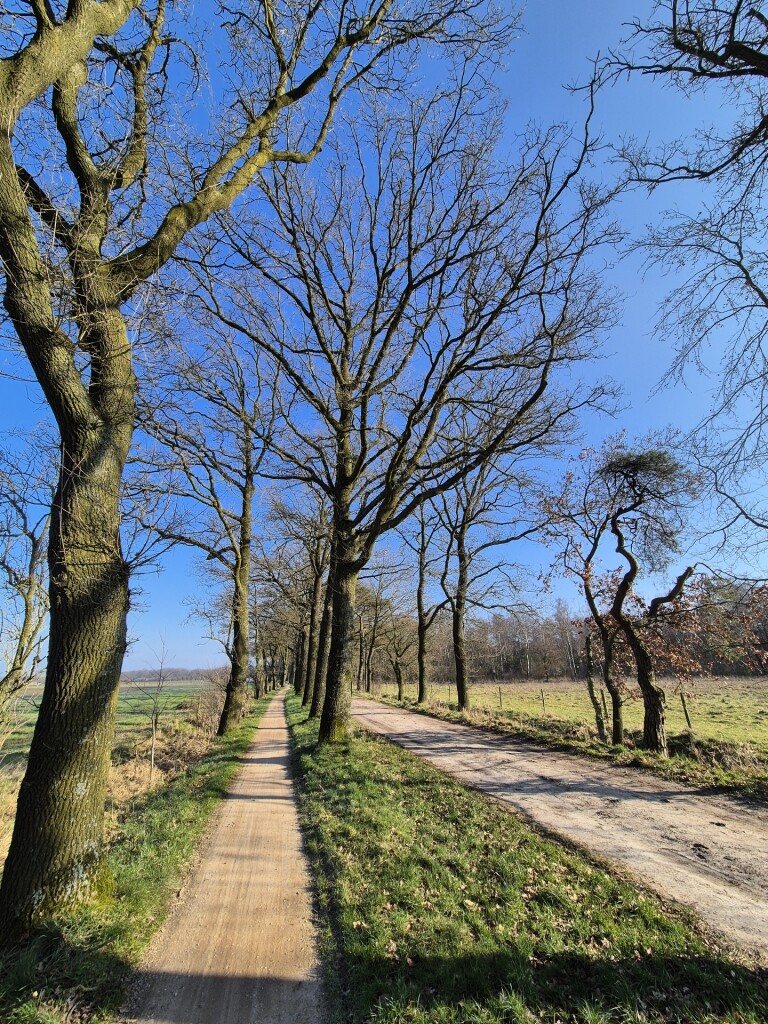 Nieuw Heeten - Mariënheem · Sallandpad etappe 3