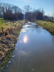 Oud-Borne - Blauw