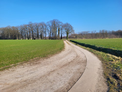 Oud-Borne - Blauw