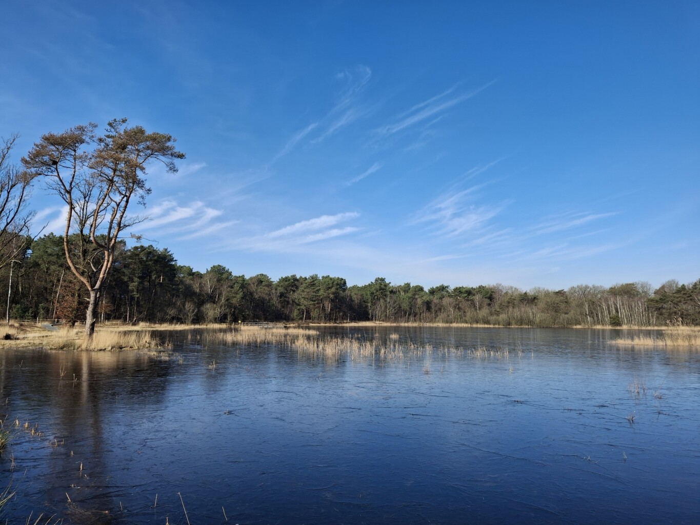 Wandelroute landgoed Visdonk, bij Roosendaal