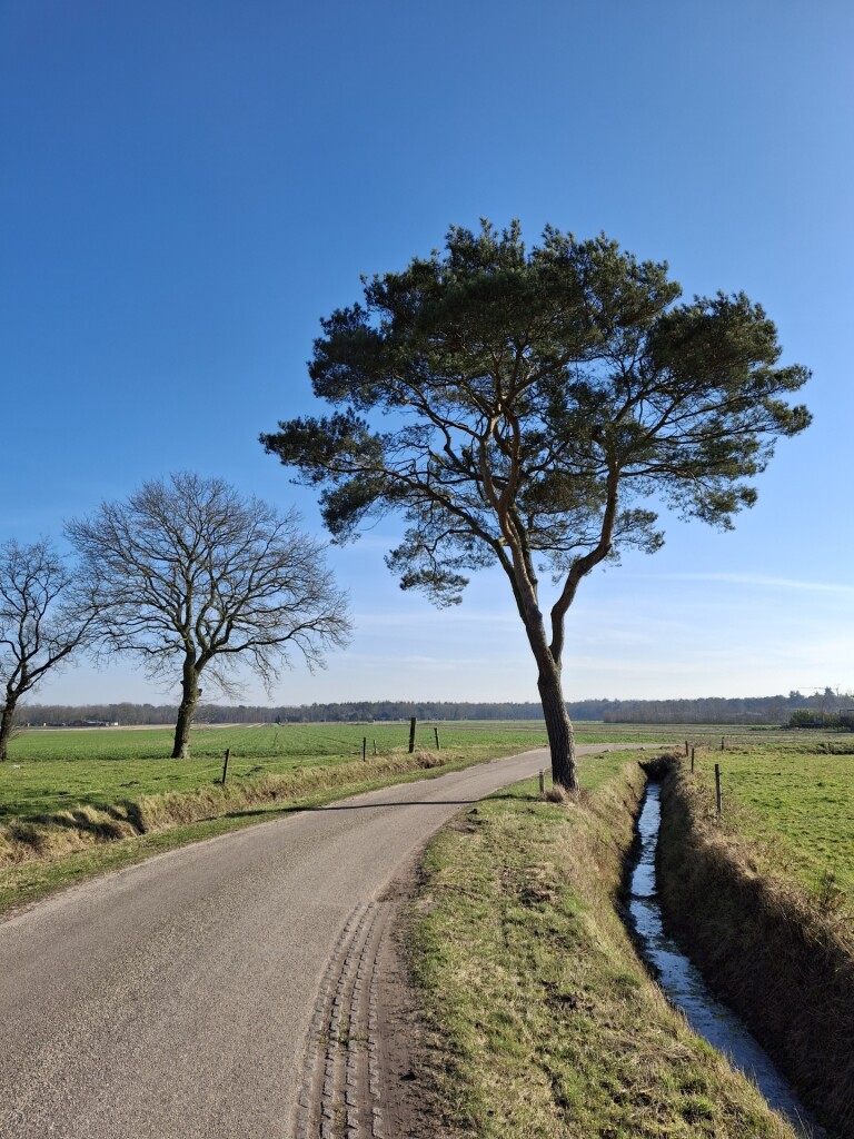 Wandelroute landgoed Visdonk, bij Roosendaal