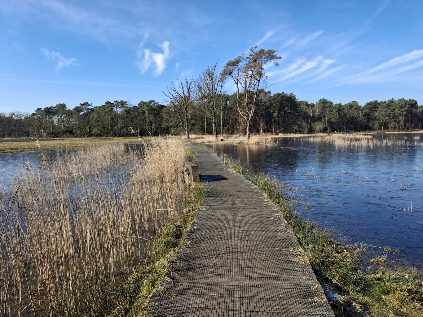 Wandelroute landgoed Visdonk, bij Roosendaal