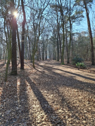Wandelroute landgoed Visdonk, bij Roosendaal