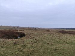 Land en water bij Nieuwvliet