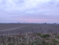 Land en water bij Nieuwvliet