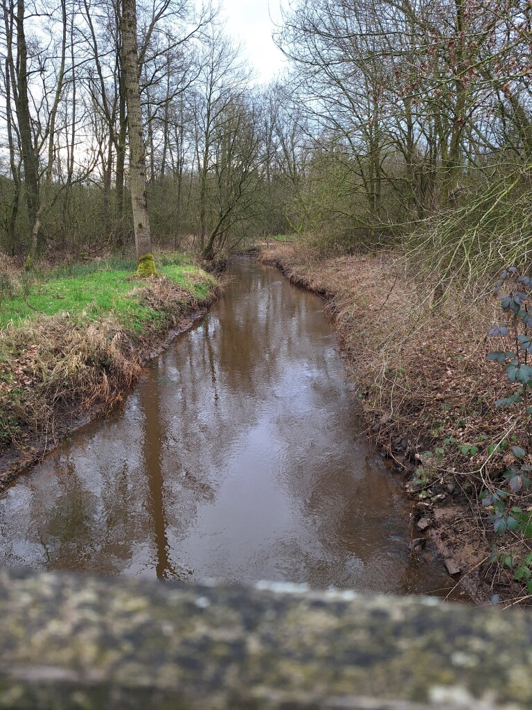 Kloosterrondwandeling De Groote Heide