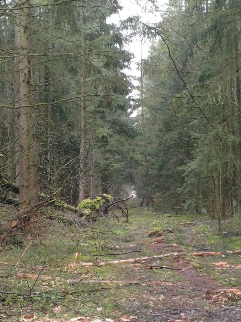 jaaaaaa  etappe 5 is een feit🙏✨️👋