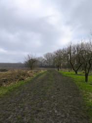 Station Beesd - Zeedijk (Station Culemborg) · Betuwepad etappe 4