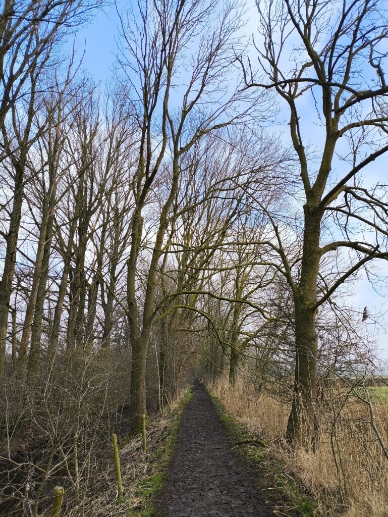 Station Beesd - Zeedijk (Station Culemborg) · Betuwepad etappe 4