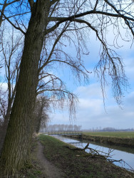 Station Beesd - Zeedijk (Station Culemborg) · Betuwepad etappe 4