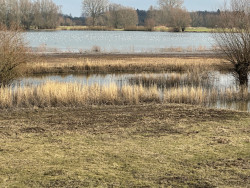 OV-Stapper Bomendijk