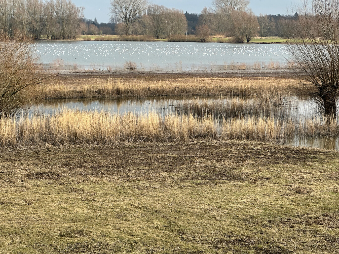 OV-Stapper Bomendijk