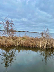Goudse Hout en Reeuwijkse plassen