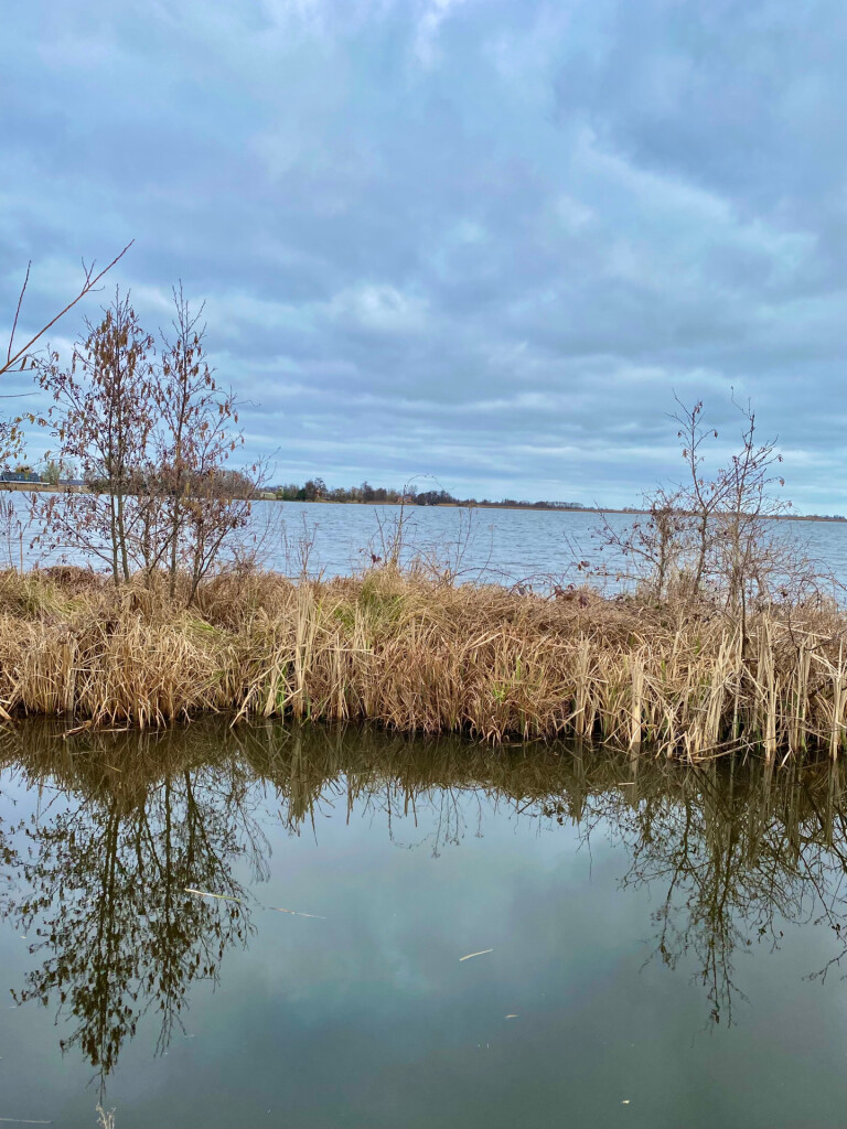 Goudse Hout en Reeuwijkse plassen