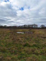 Wandelroute Beerschoten, Houdringe, Panbos