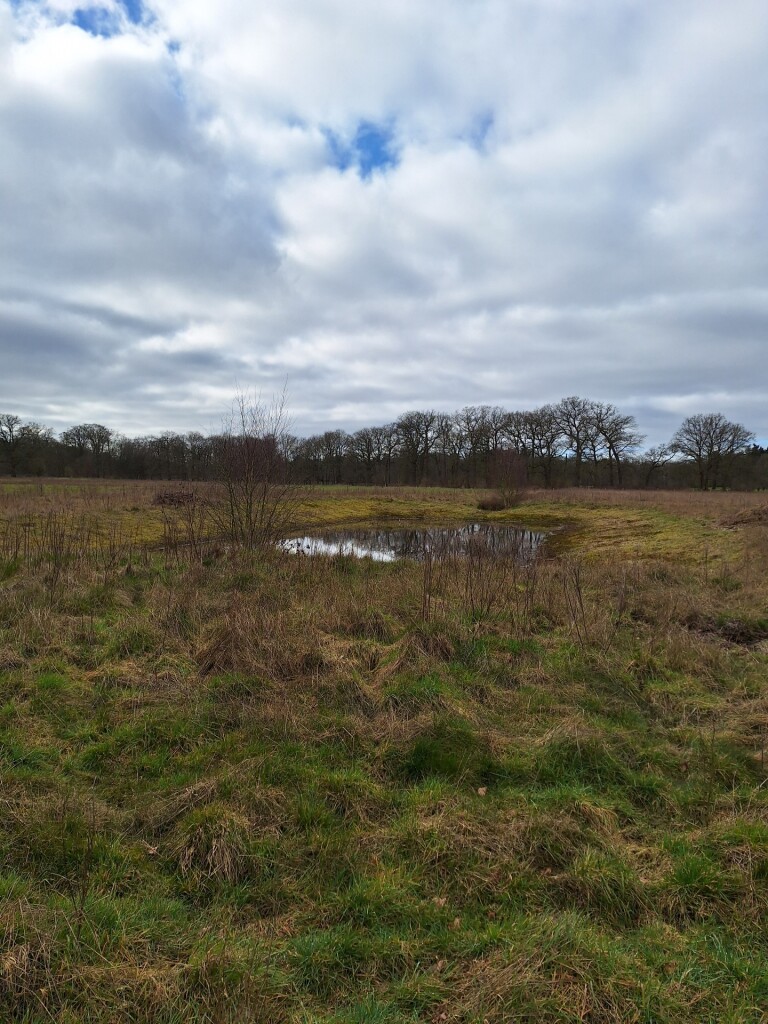 Wandelroute Beerschoten, Houdringe, Panbos