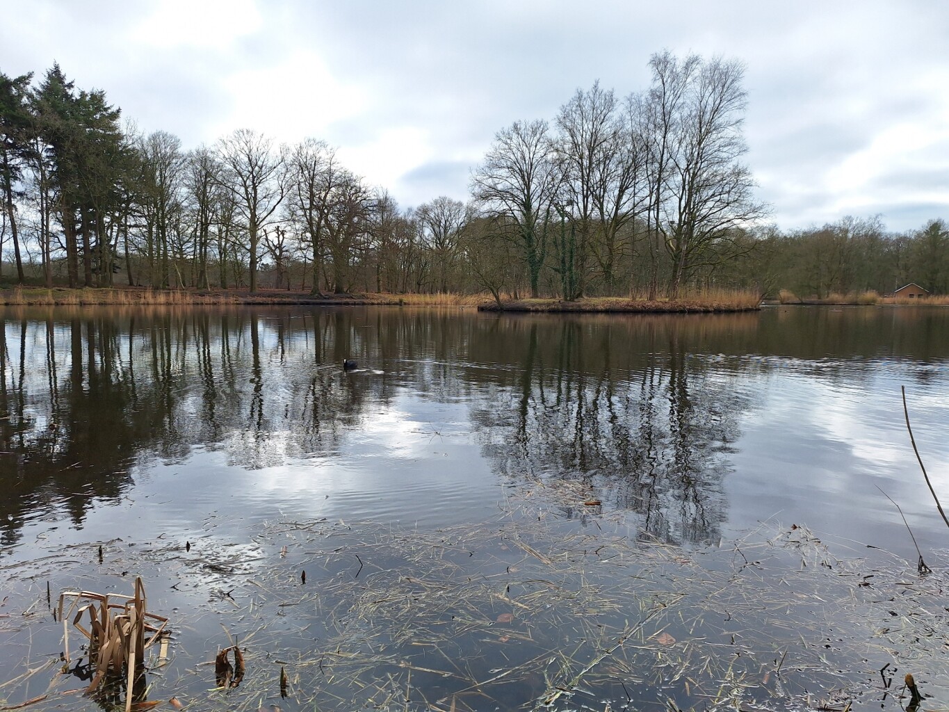 Wandelroute Beerschoten, Houdringe, Panbos