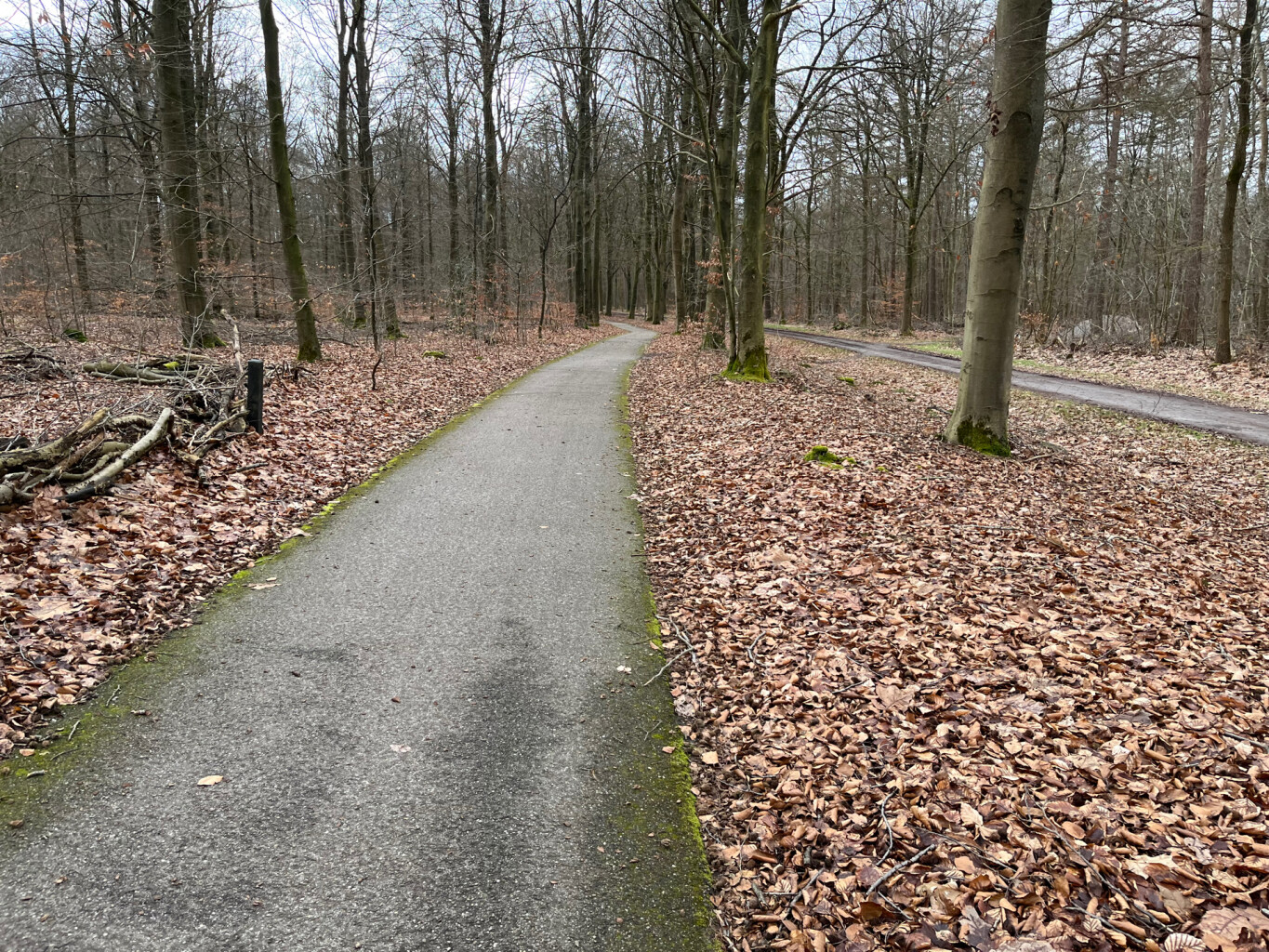 pieterpad zesde etappe