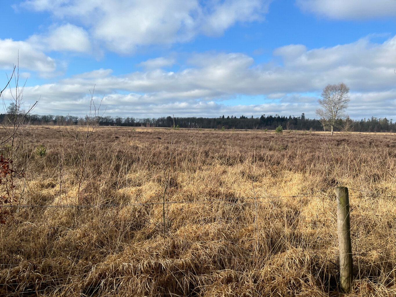 pieterpad zesde etappe