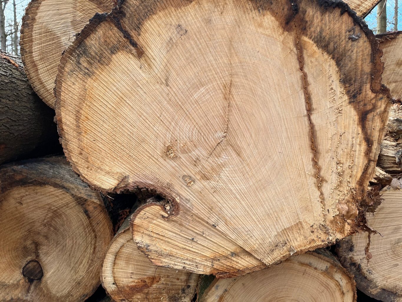 pieterpad zesde etappe