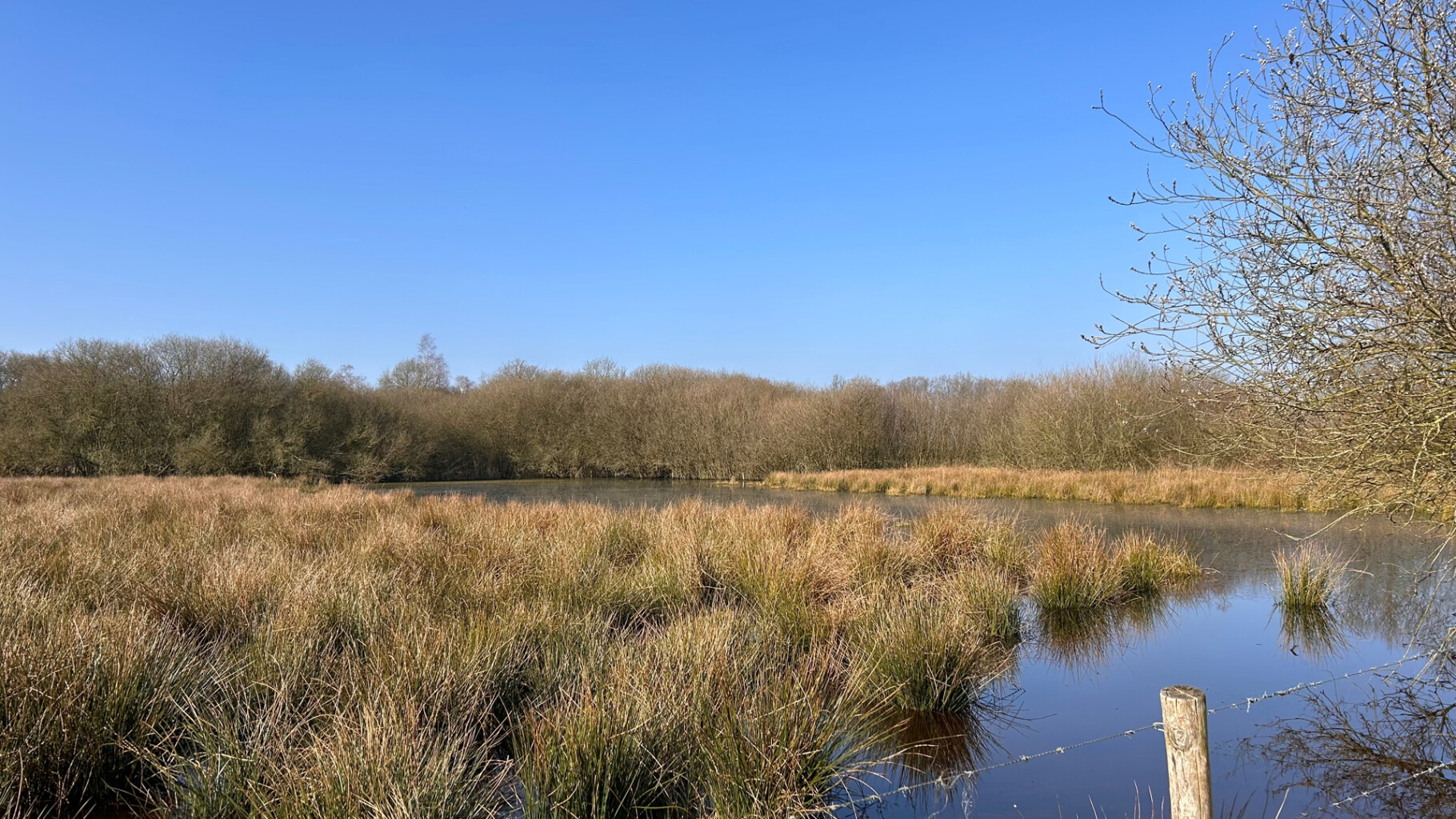 Van Gogh NP wandelroute Etten-Leur