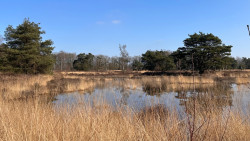 Van Gogh NP wandelroute Etten-Leur