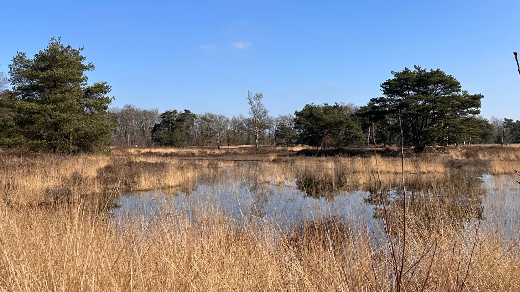 Van Gogh NP wandelroute Etten-Leur