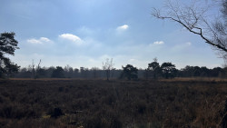 Van Gogh NP wandelroute Etten-Leur