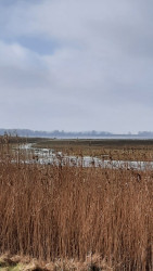Lauwersoog - Niekerk · Nederlands Kustpad 3 etappe 9