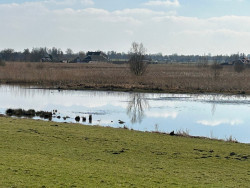 Ouderkerk aan de Amstel - Abcoude · Noord-Hollandpad etappe 14