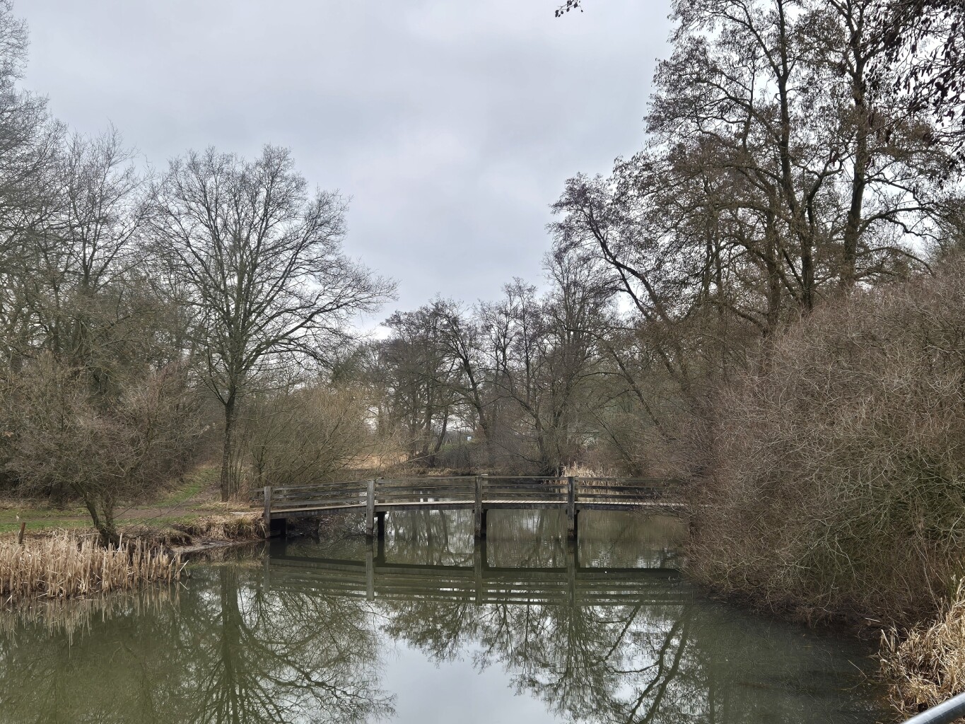 Ommen - Mariënberg · Vechtdalpad etappe 3