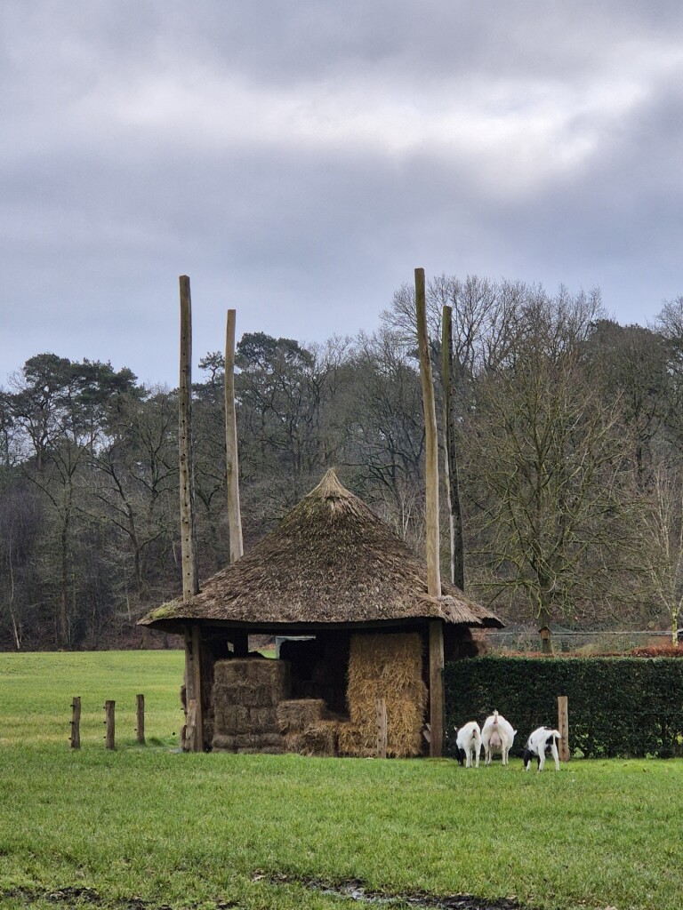 Ommen - Mariënberg · Vechtdalpad etappe 3