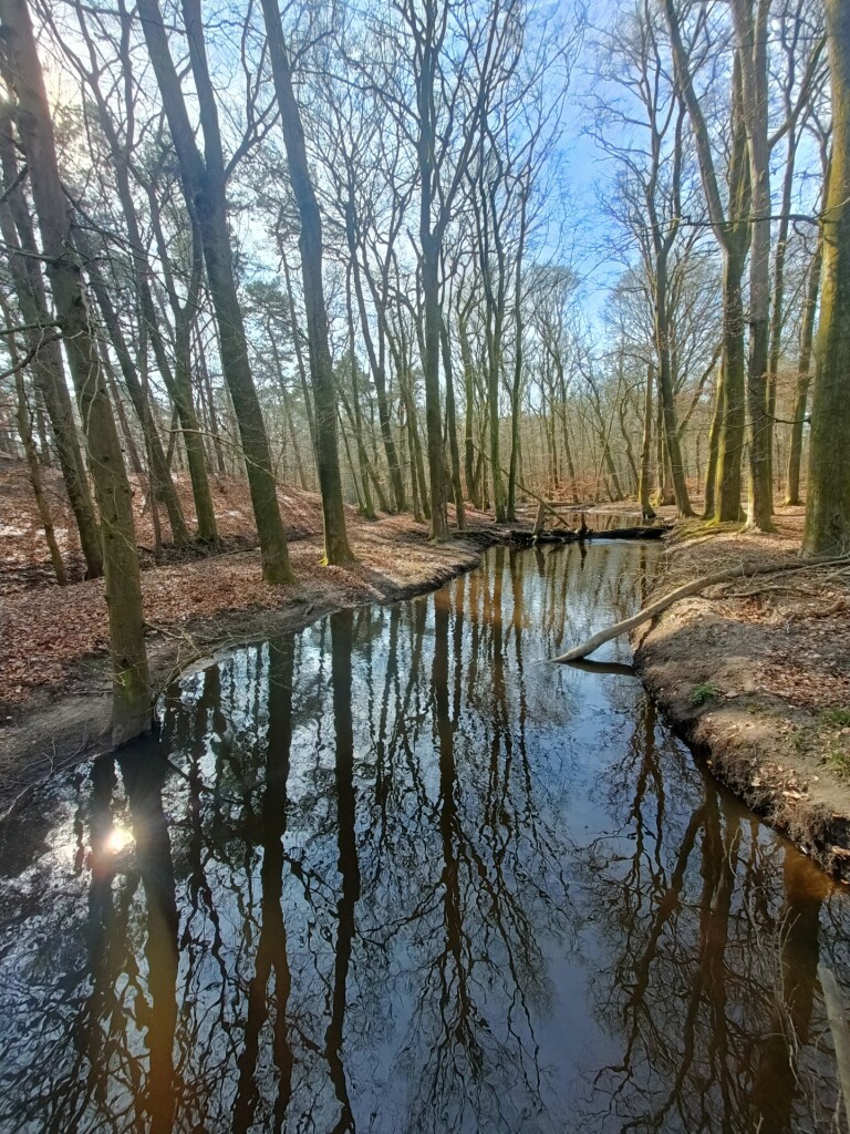 Wandelroute: Wisselende landschappen rond het Hulshorsterzand 