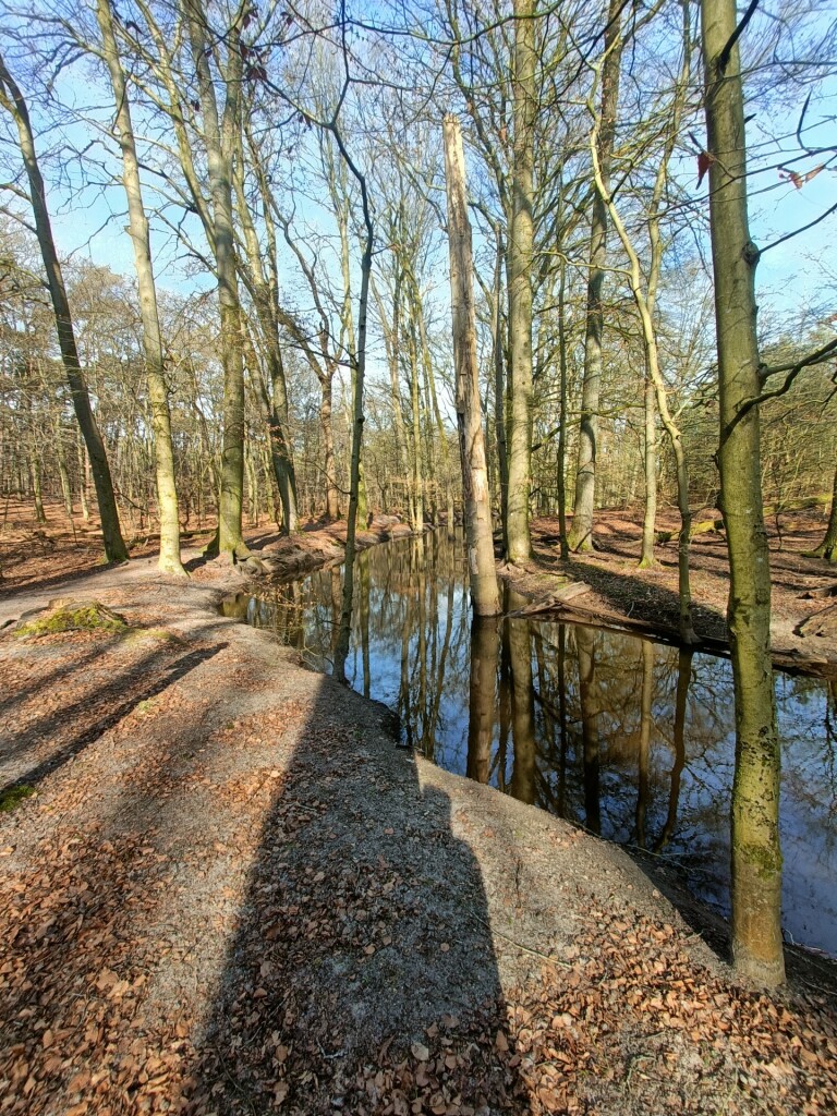 Wandelroute: Wisselende landschappen rond het Hulshorsterzand 