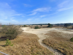 Wandelroute: Wisselende landschappen rond het Hulshorsterzand 