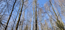 Hettenheuvel-route